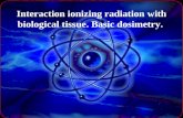 Interaction ionizing radiation  with biological tissue .  Basic  dosimetry.