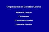 Organization of Genetics Course Molecular Genetics Cytogenetics Transmission Genetics