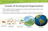 Levels of Ecological Organization