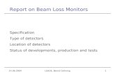 Report on Beam Loss Monitors