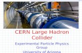 Particle Physics at the  CERN Large Hadron Collider