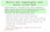 Multi-jet topologies and multi-scale QCD