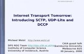 Internet Transport Tomorrow: Introducing SCTP, UDP-Lite and DCCP
