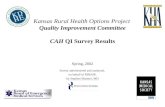 Kansas Rural Health Options Project  Quality Improvement Committee CAH  QI Survey Results