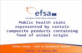 Public health risks represented by certain composite products containing food of animal origin