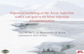 Improved modeling of the Arctic halocline with a sub-grid-scale brine rejection parameterization