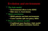 Evolution and environment