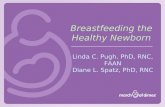 Breastfeeding the Healthy Newborn