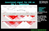 Associated signal for CAD on Chr 9 - haploview