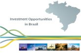 Investment  Opportunities  in Brazil