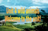 Unit 4 wild animals  Welcome to the unit!