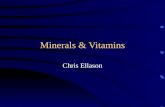 Minerals & Vitamins
