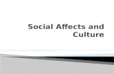 Social Affects and Culture