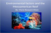 Environmental factors and the Mesoamerican Reef