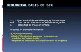 Biological Basis of Sex