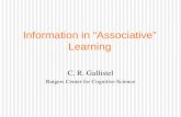 Information in “Associative” Learning