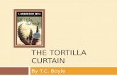 THE Tortilla Curtain