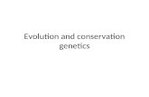 Evolution and conservation genetics