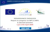 RENAISSANCE ZARAGOZA Report on progress on WP1 & WP2  &  planned activities Lyon 27th April 2009