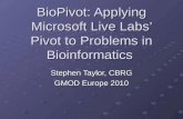 BioPivot : Applying Microsoft Live Labs’ Pivot to Problems in Bioinformatics