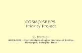 COSMO-SREPS  Priority Project