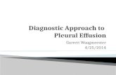 Diagnostic Approach  to  Pleural Effusion