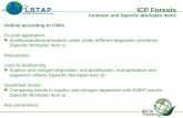Outline according to CWIs Ex-post application