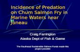 Incidence of Predation on Chum Salmon Fry in Marine Waters near Juneau