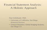 Financial Statement Analysis:   A Holistic Approach