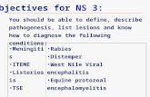 Objectives for NS 3:
