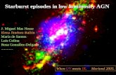 Starburst episodes in low luminosity AGN