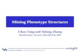 Mining Phenotype Structures