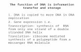 The function of DNA is information transfer and storage