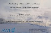 Variability of Ice and Ocean Fluxes  in the Arctic/Sub-Arctic Domain  Michael Karcher,