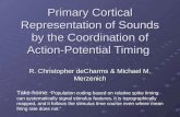 Primary Cortical Representation of Sounds by the Coordination of Action-Potential Timing