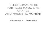 ELECTROMAGNETIC PARTICLE: MASS, SPIN, CHARGE, AND MAGNETIC MOMENT