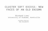 CLUSTER SOFT EXCESS: NEW FACES OF AN OLD ENIGMA