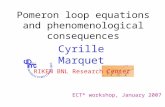 Pomeron loop equations and phenomenological consequences
