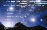 CAS Risk and Capital Management Seminar International Perspectives on DFA – Canadian DCAT