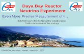 Daya Bay Reactor  Neutrino Experiment