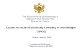 Capital Increase of Electricity Company of Montenegro  (EPCG) Vujica Lazovic, PhD