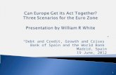 “Debt and Credit, Growth and Crises” Bank of Spain and the World Bank  Madrid, Spain