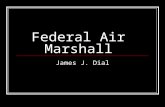 Federal Air Marshall