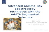 Advanced Gamma–Ray Spectroscopy Techniques with the AGATA Segmented Detectors