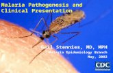 Malaria Pathogenesis and  Clinical Presentation