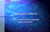 MutS/MSH2 & HNPCC