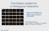Oscillation patterns  in biological networks