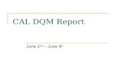 CAL DQM Report