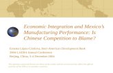 Economic Integration and Mexico’s Manufacturing Performance: Is Chinese Competition to Blame?