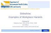 Slideshow: Examples of Workplace Hazards Presented By Catherine Drum, BASc (OHS), CHSC, CRSP,